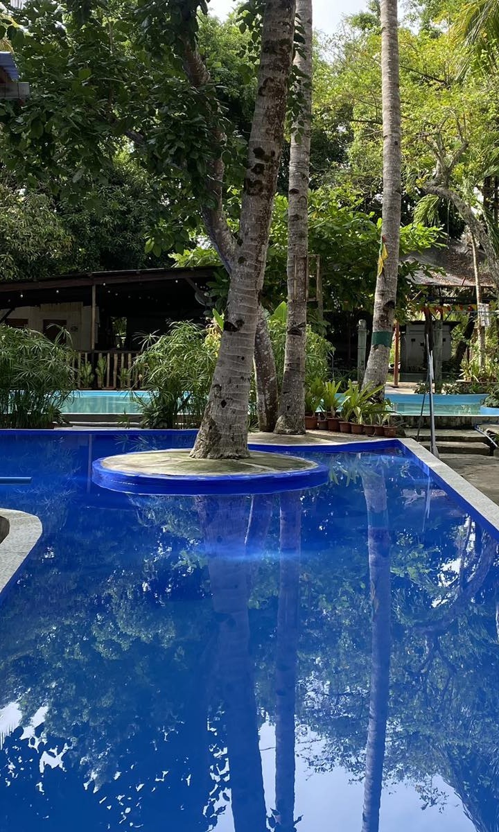 The main pool and cottages at Jehoven's Garden Resort
