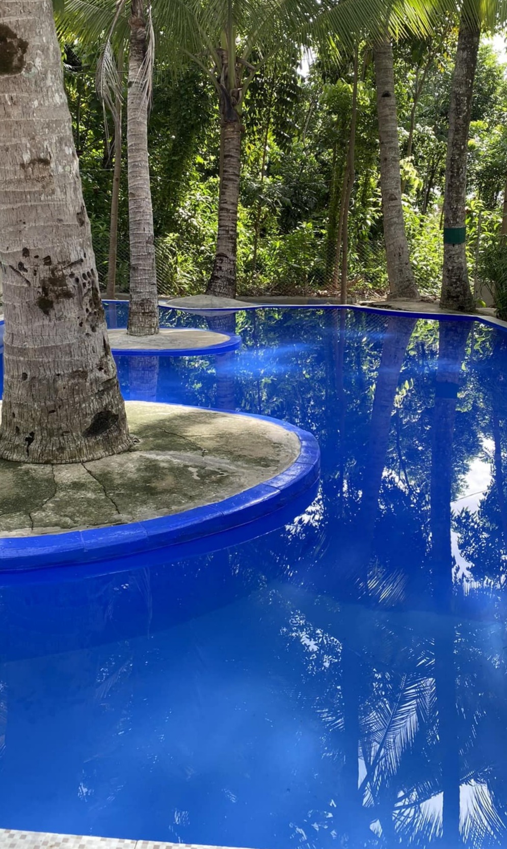 The swimming pool seen from the poolside